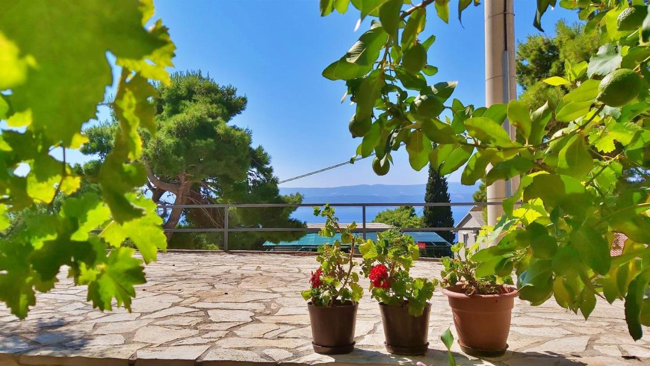Apartments Gajo Omis Luaran gambar